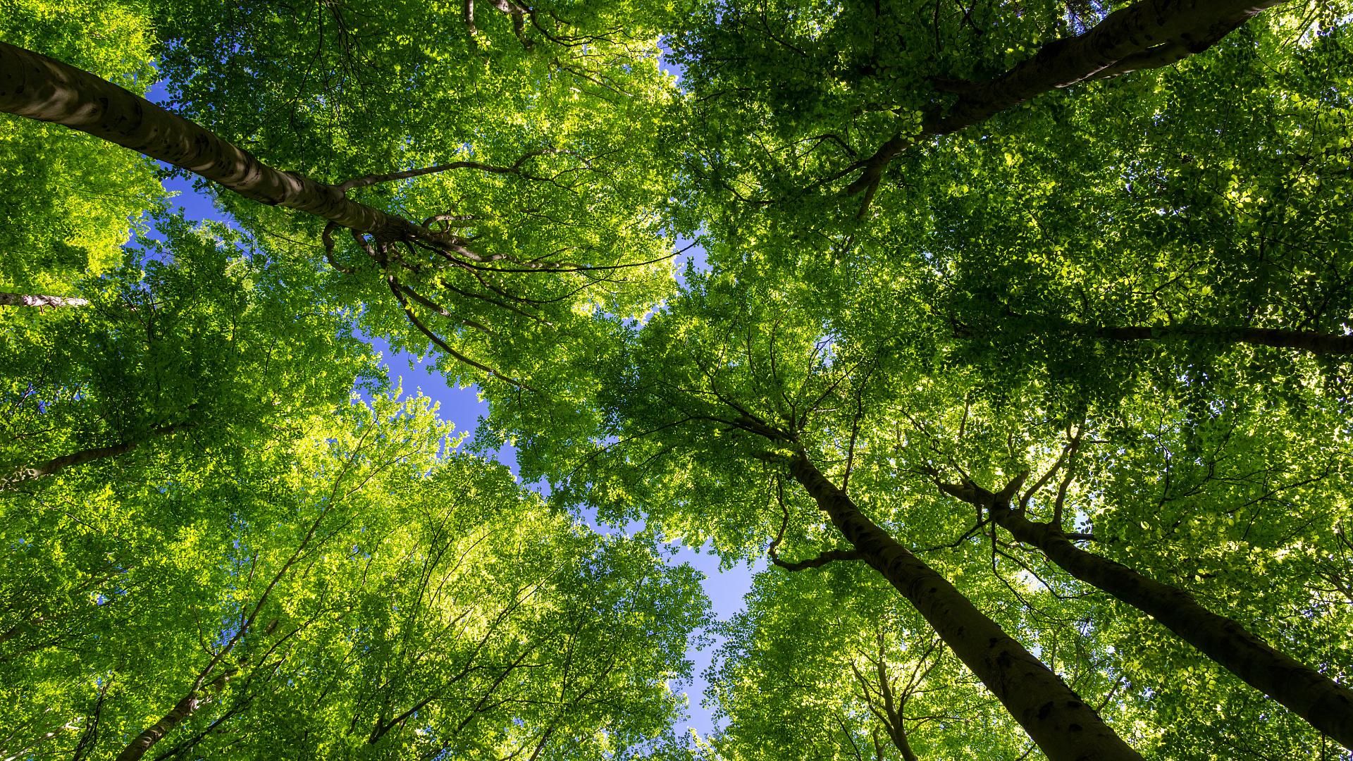 Committed to sustainability